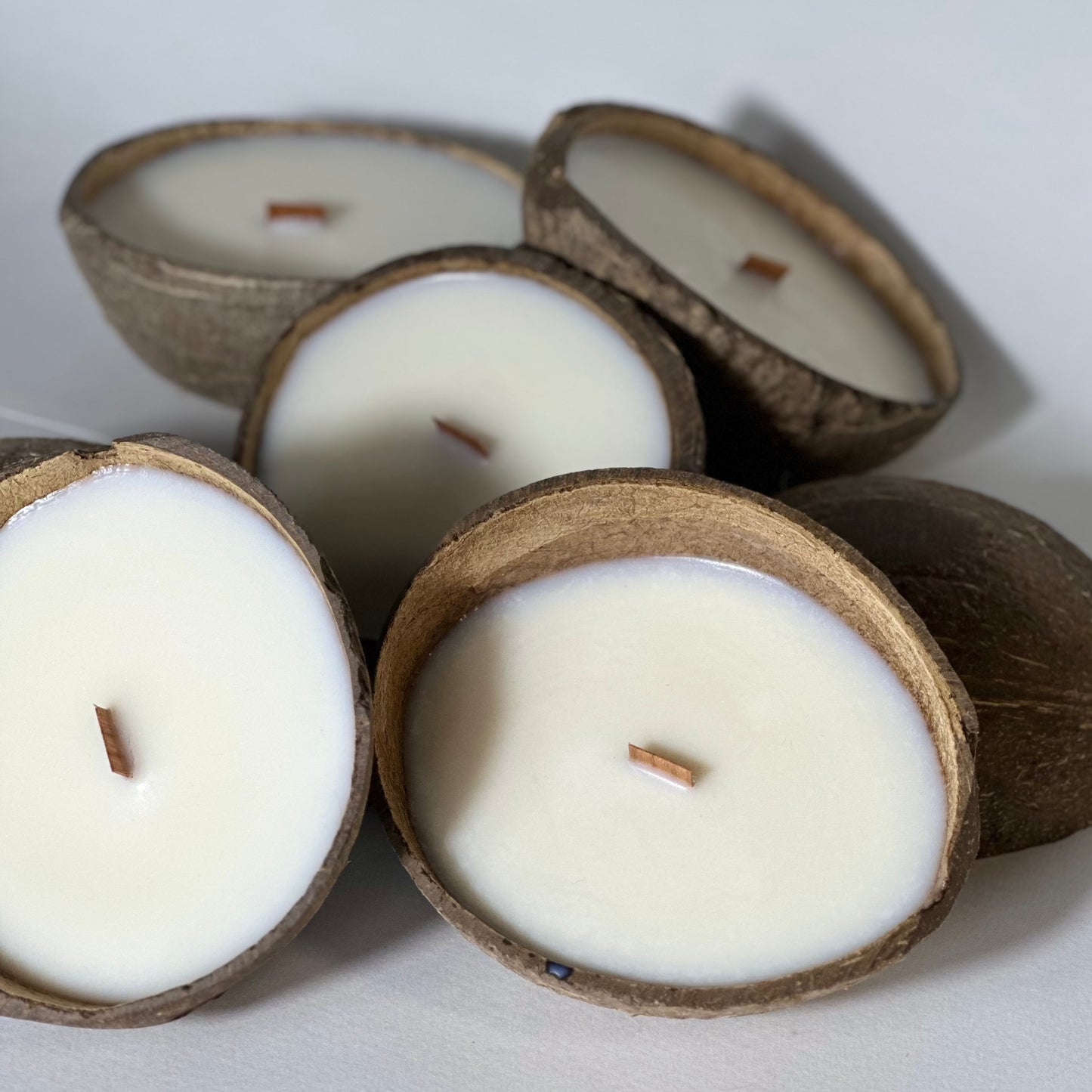 COCO SHELL candle