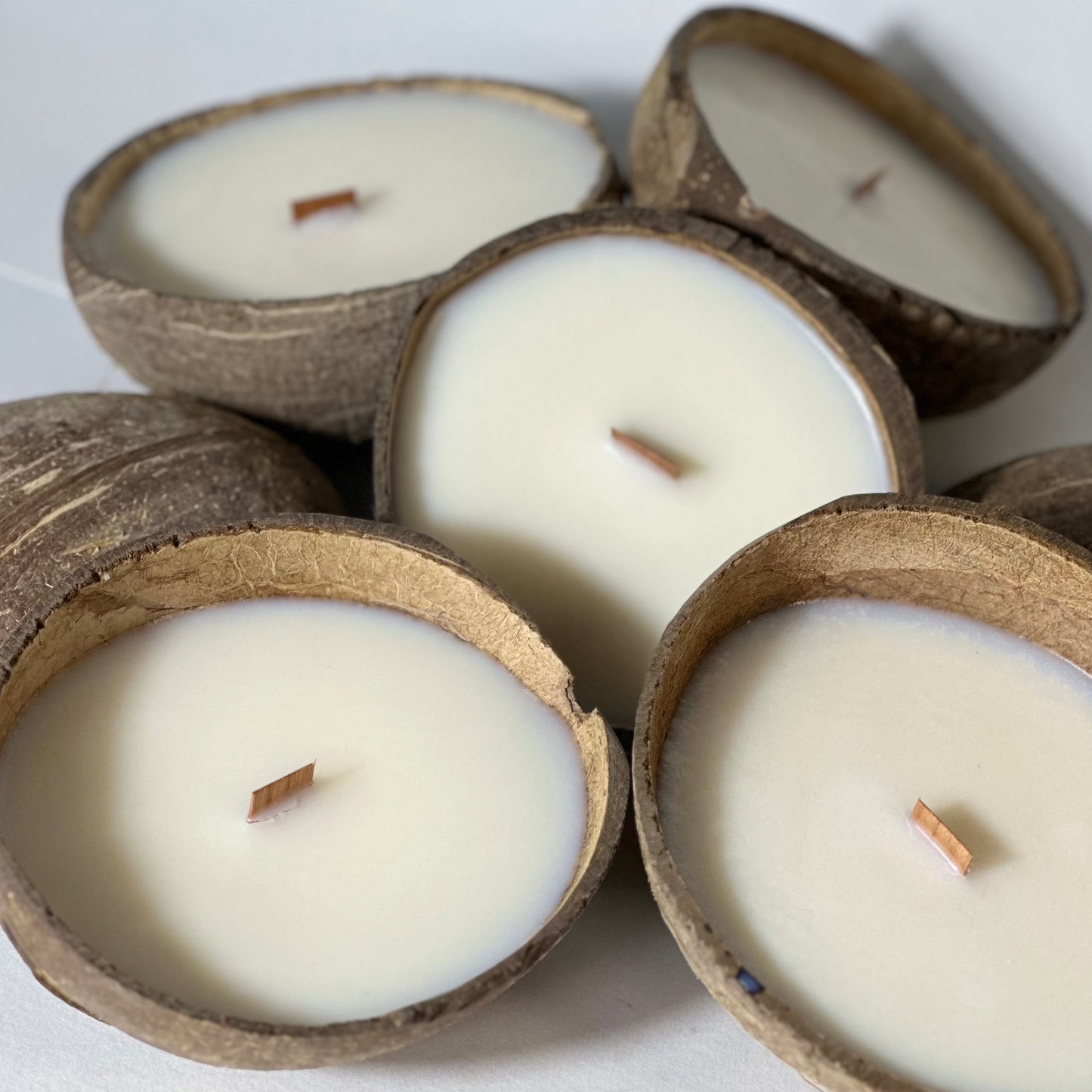 COCO SHELL candle