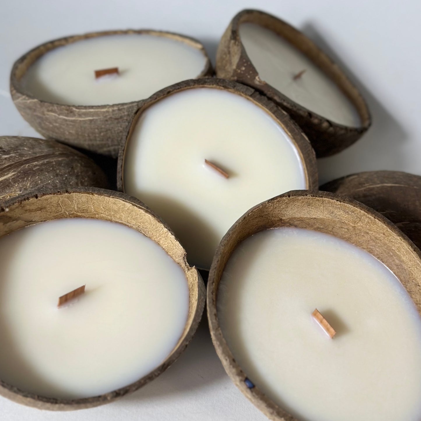 COCO SHELL candle