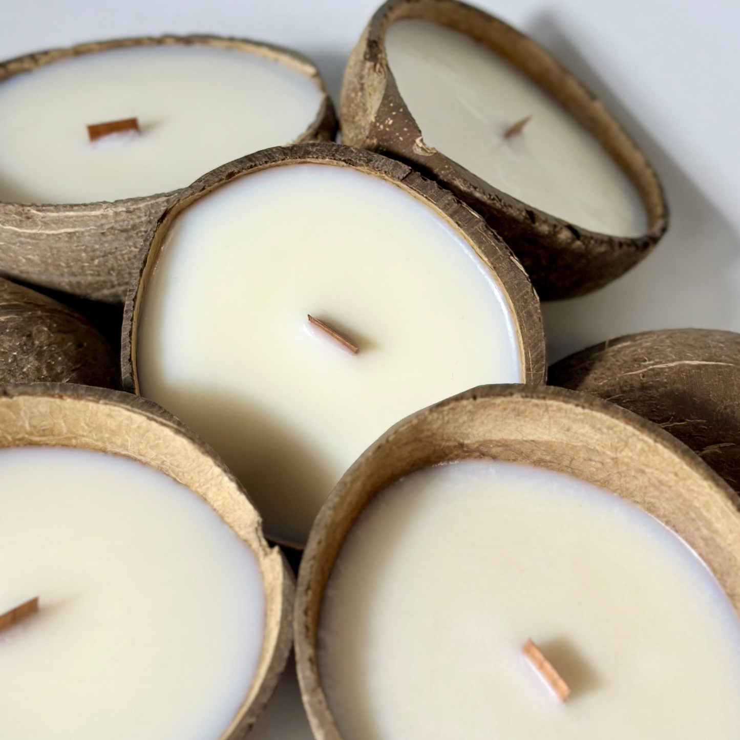 COCO SHELL candle